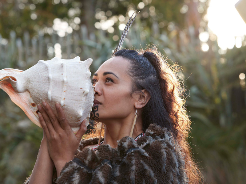 maori women blowing into shell